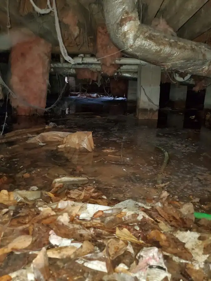 Crawl space flood assessment for Leak Detection & Repair in Shelbyville