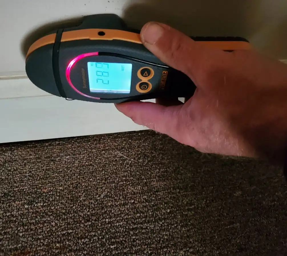Moisture detection at baseboard during Sewage Cleanup & Sanitation in Shelbyville